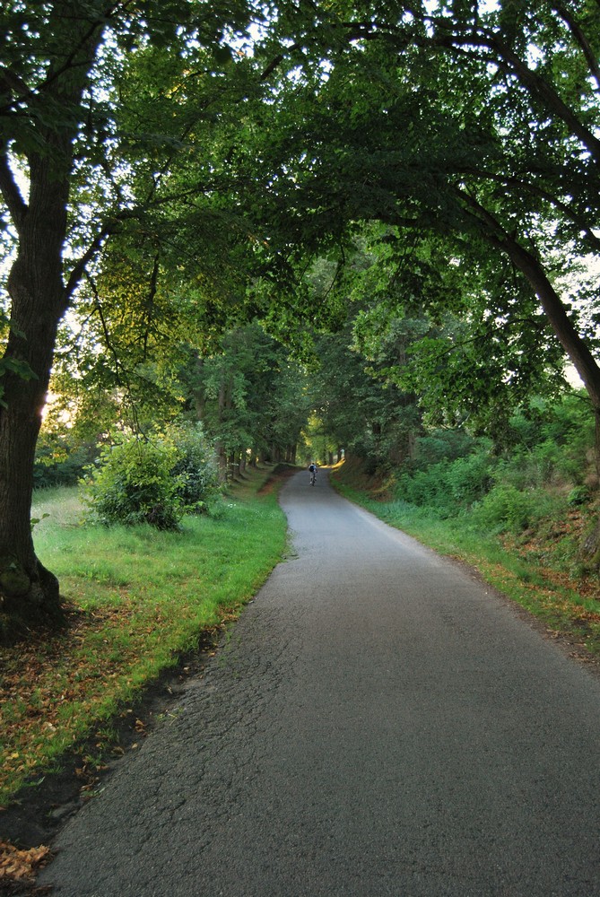 DSC_1683.jpg