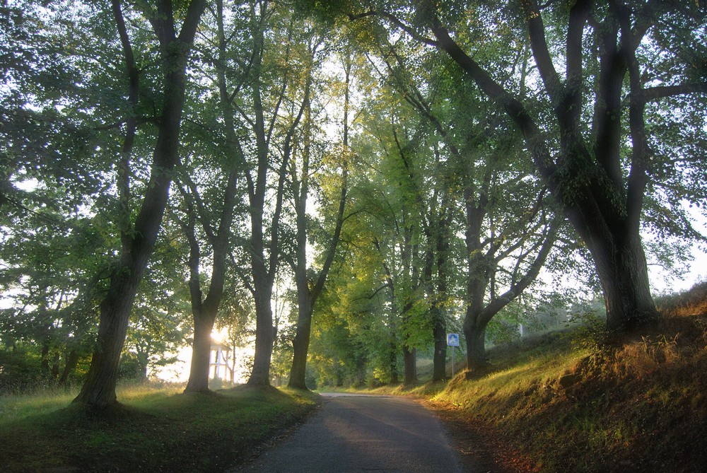DSC_1689.jpg