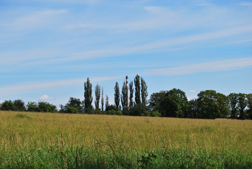 DSC_1992.jpg