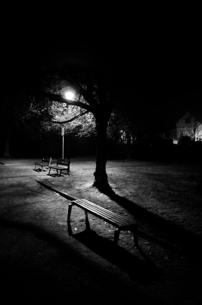 DSC_2122x