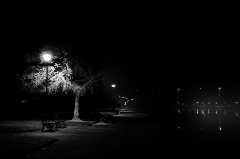 DSC_2132x