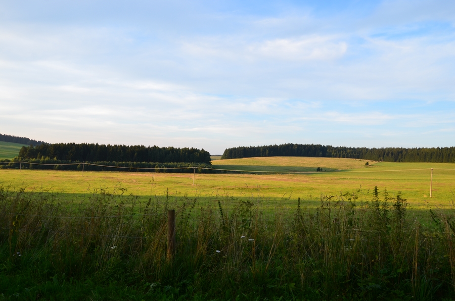 DSC_9400