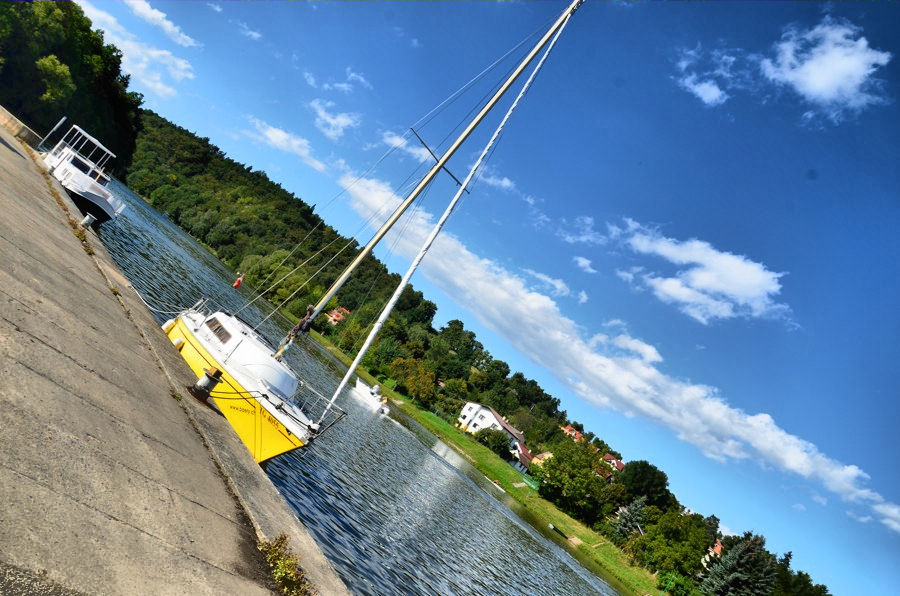 Obraz113