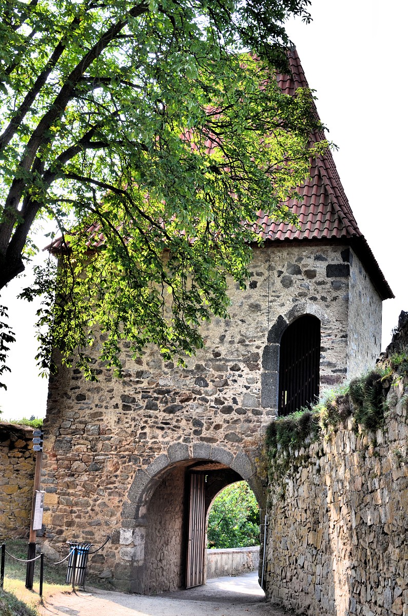 DSC_6919