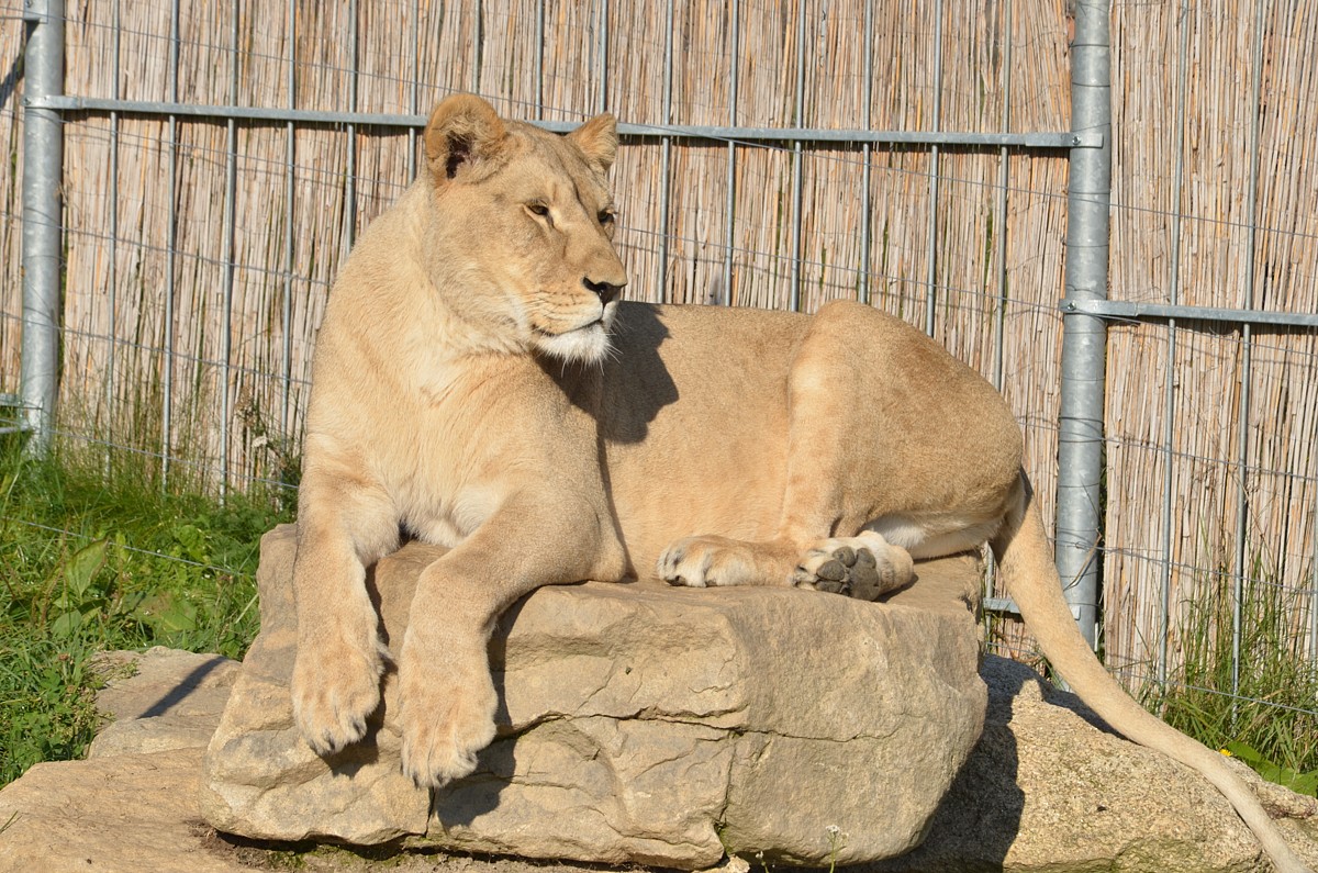 DSC_1458