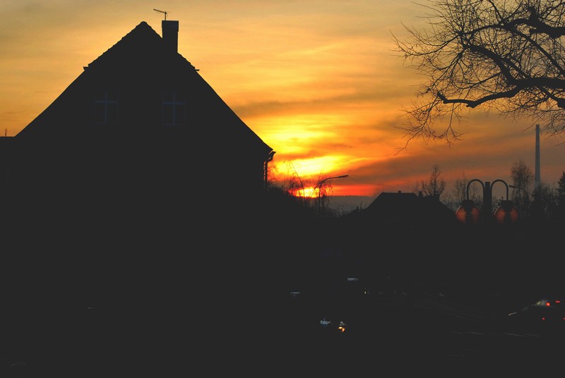 DSC_0804.JPG