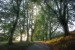 DSC_1689.jpg