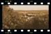 DSC_1709.jpg