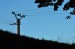 DSC_1732.jpg