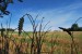 DSC_1877.jpg