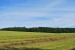 DSC_1969.jpg