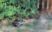 DSC_1961.jpg